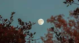 資訊圖片