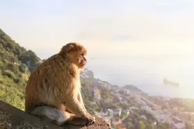 資訊圖片
