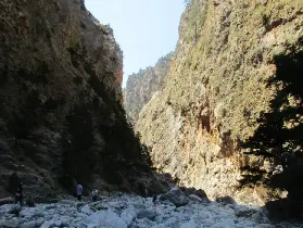 資訊圖片