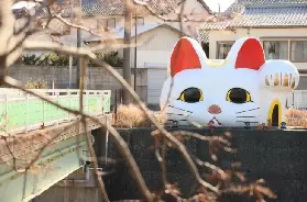 資訊圖片