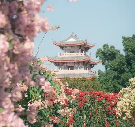《給阿嬤的情書》超全同款打卡指南