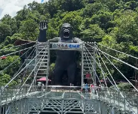 資訊圖片