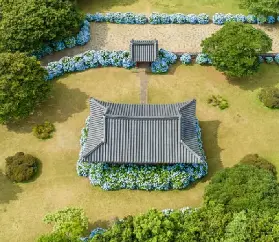 資訊圖片