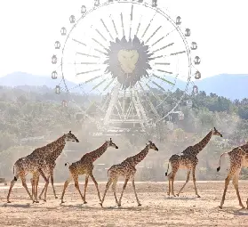 資訊圖片
