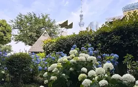 資訊圖片