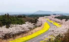 資訊圖片