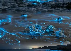 資訊圖片