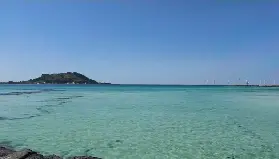資訊圖片