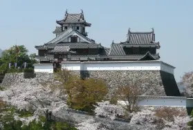 資訊圖片
