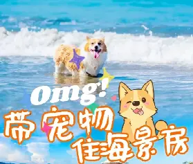 資訊圖片