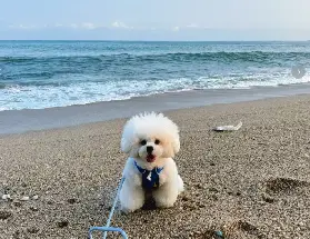 資訊圖片