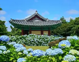 資訊圖片