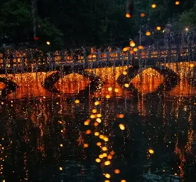 資訊圖片