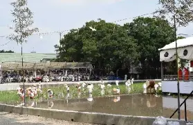 資訊圖片