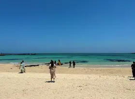 資訊圖片