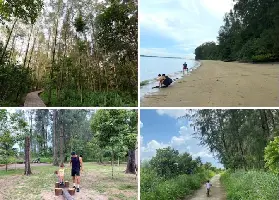 資訊圖片