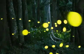 資訊圖片
