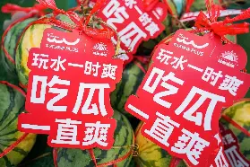 資訊圖片