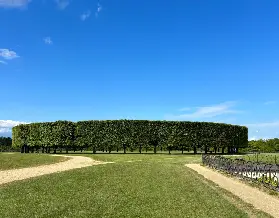 巴黎近郊印象派徒步路線：沿塞納河21公里追尋Monet與Renoir筆下的光影
