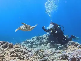 資訊圖片