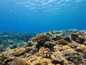 資訊圖片