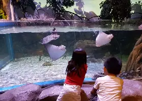 資訊圖片