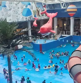 資訊圖片