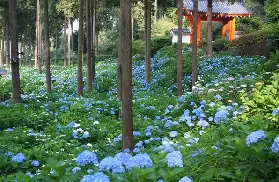 資訊圖片