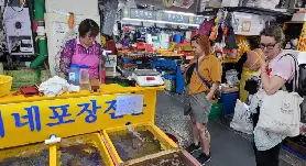 資訊圖片