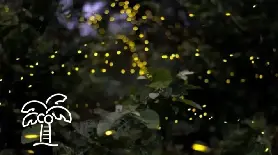 資訊圖片