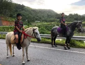 資訊圖片