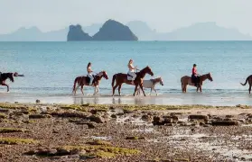 資訊圖片