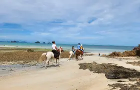 資訊圖片