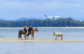 資訊圖片