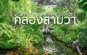 資訊圖片