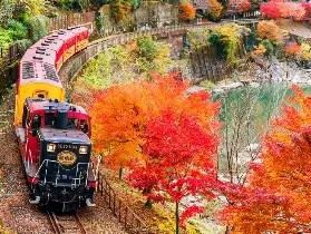 資訊圖片