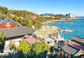 資訊圖片