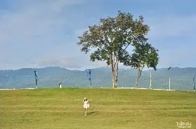 資訊圖片