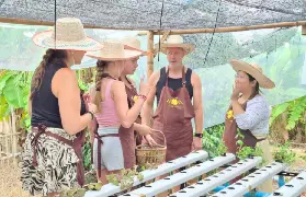 資訊圖片