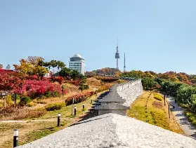 資訊圖片