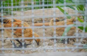 資訊圖片