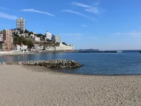 資訊圖片