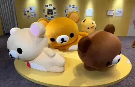 資訊圖片