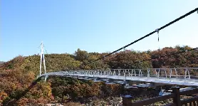 資訊圖片