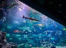 資訊圖片
