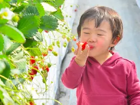 資訊圖片