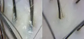 資訊圖片