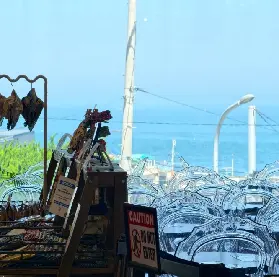 資訊圖片