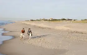 資訊圖片