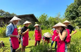 資訊圖片